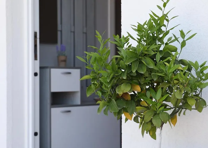 Tea Residence, Gjiri I Lalzit Appartamento Durrës